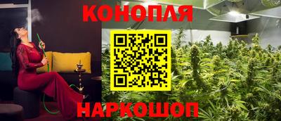 хмурый Тула
