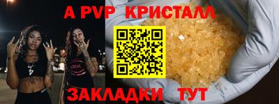 хмурый Тула