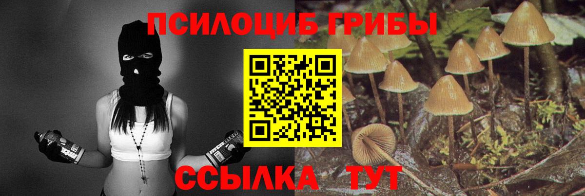 Псилоцибиновые грибы Cubensis  Вход с VPN  где купить наркоту  Нижний Тагил 